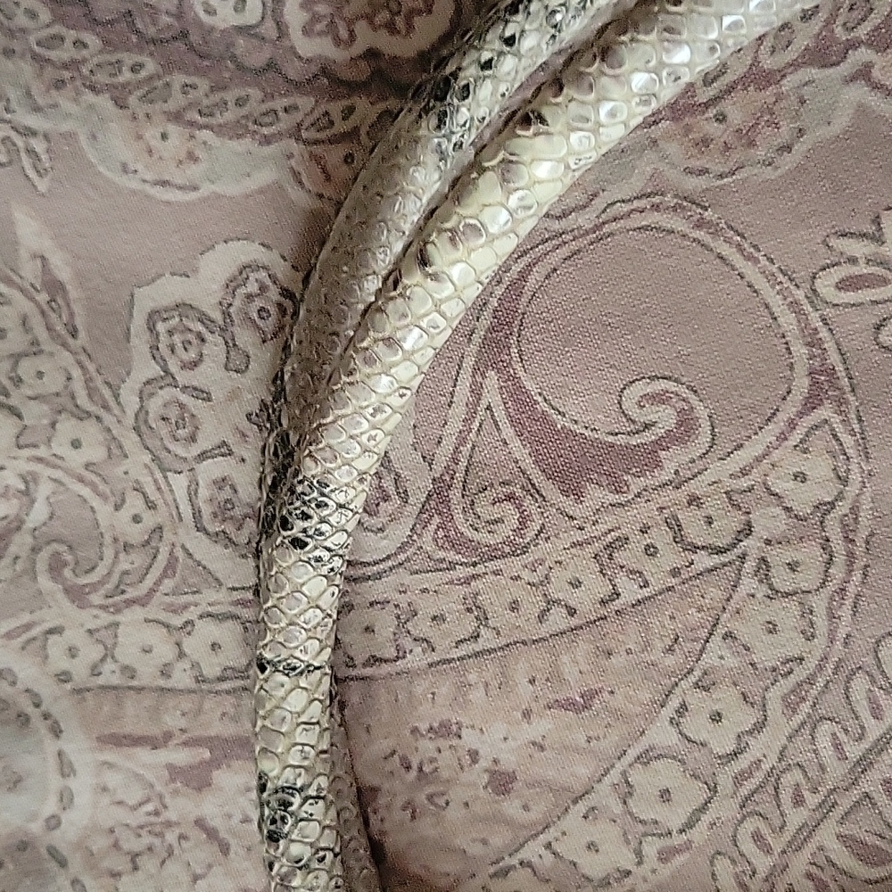 Cole Haan Embossed Python Bag - image 6
